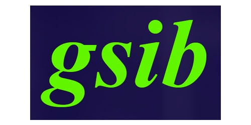GSIB Plastics LLC